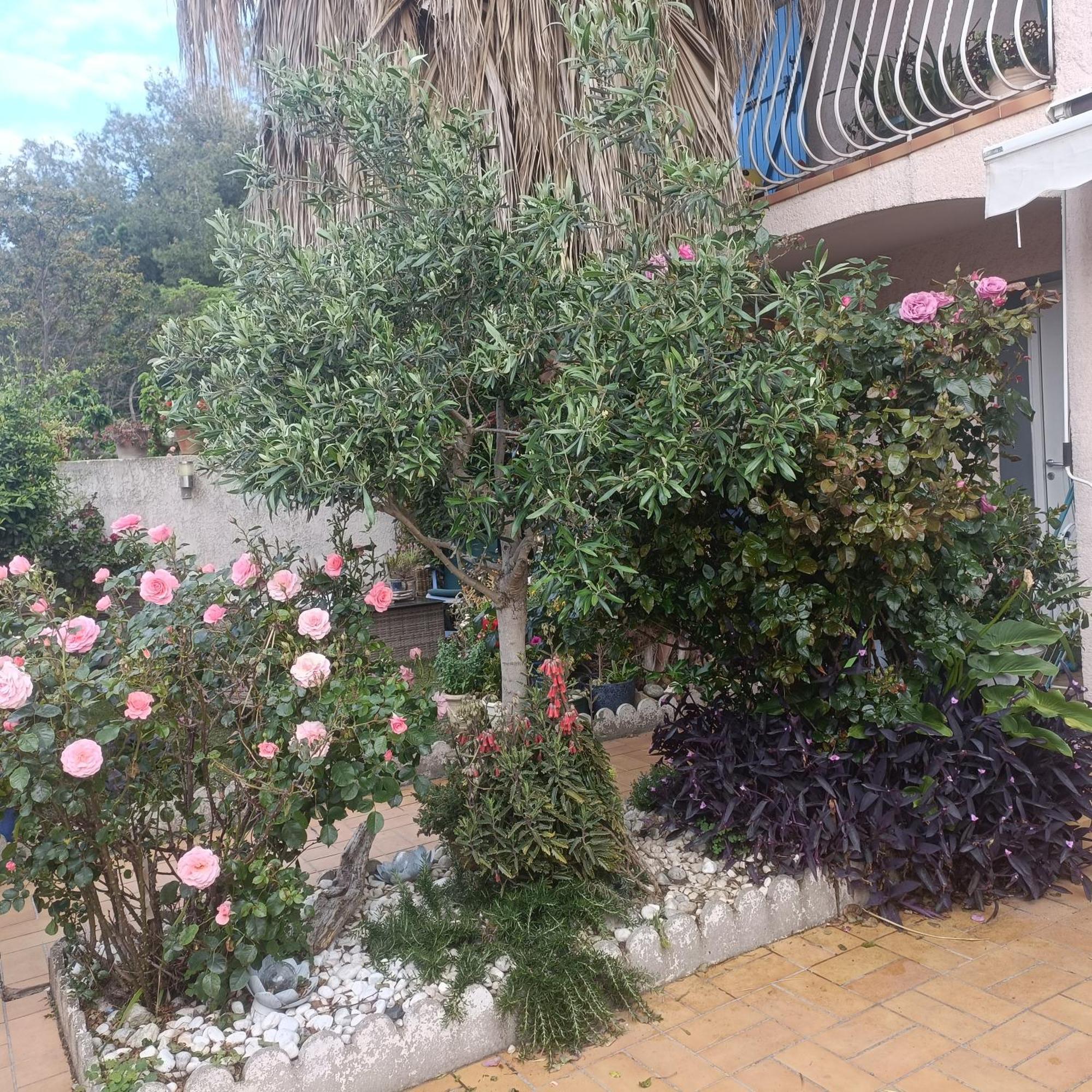 Studio Clair, Climatise Avec Jardin Et Parking Perpiñán Habitación foto